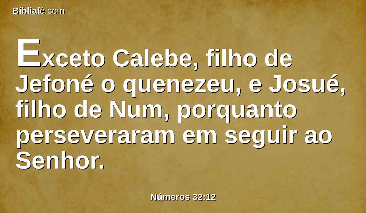 Exceto Calebe, filho de Jefoné o quenezeu, e Josué, filho de Num, porquanto perseveraram em seguir ao Senhor.