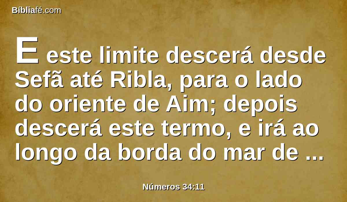 E este limite descerá desde Sefã até Ribla, para o lado do oriente de Aim; depois descerá este termo, e irá ao longo da borda do mar de Quinerete para o lado do oriente.