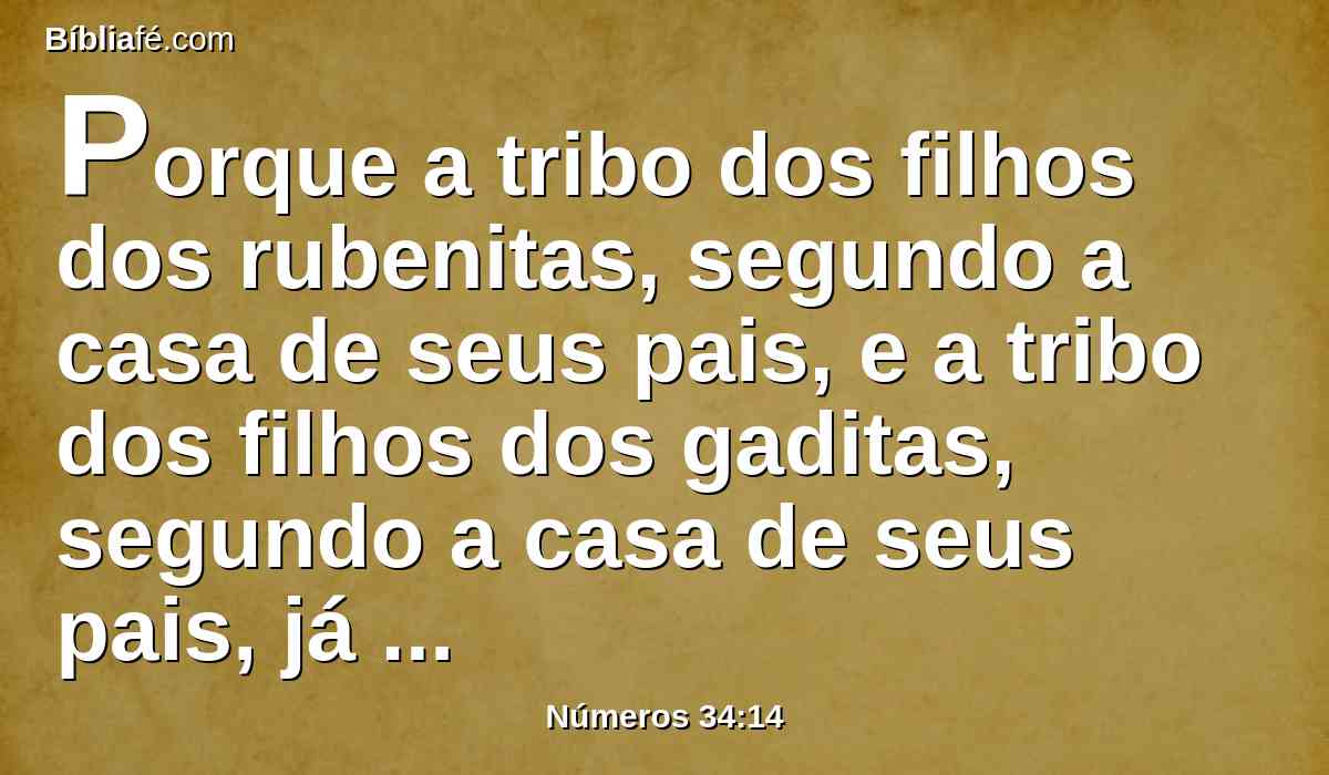 Porque a tribo dos filhos dos rubenitas, segundo a casa de seus pais, e a tribo dos filhos dos gaditas, segundo a casa de seus pais, já receberam; também a meia tribo de Manassés recebeu a sua herança.