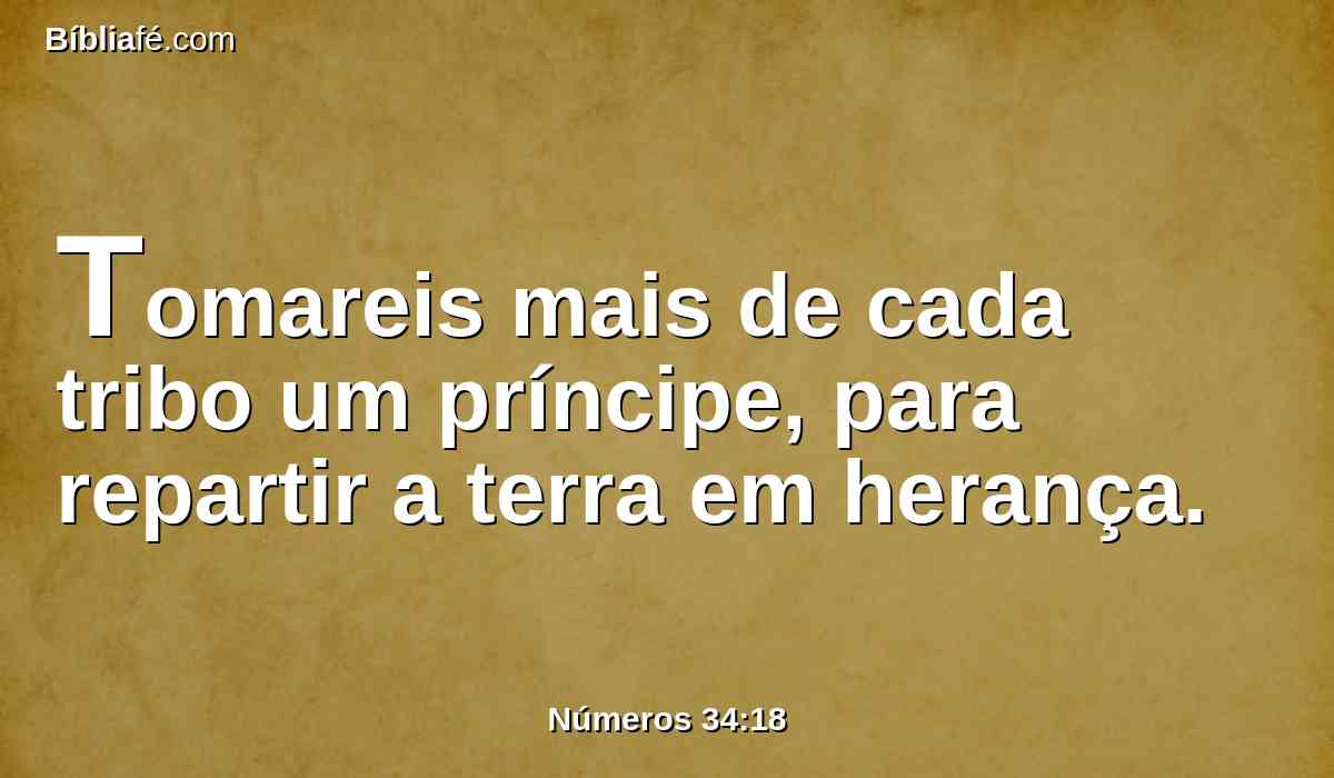 Tomareis mais de cada tribo um príncipe, para repartir a terra em herança.