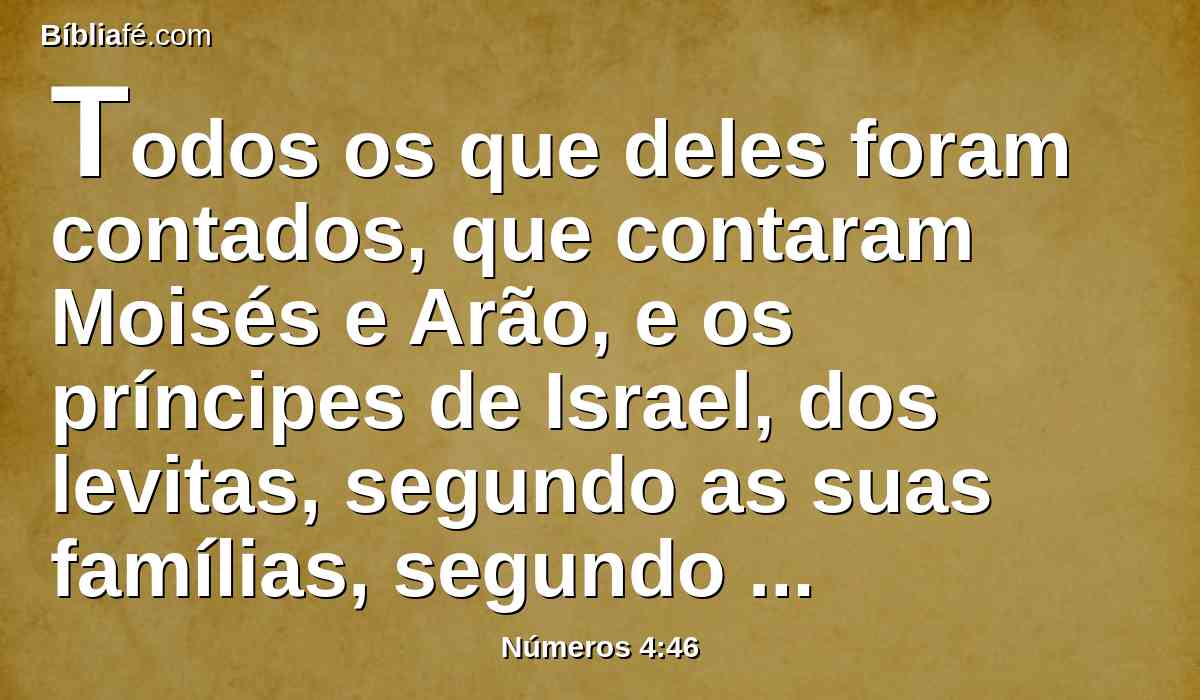 Todos os que deles foram contados, que contaram Moisés e Arão, e os príncipes de Israel, dos levitas, segundo as suas famílias, segundo a casa de seus pais;