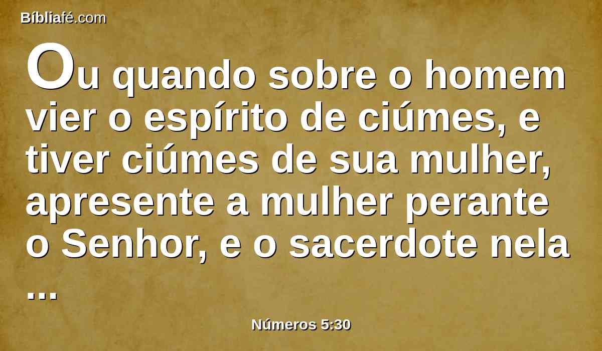 Ou quando sobre o homem vier o espírito de ciúmes, e tiver ciúmes de sua mulher, apresente a mulher perante o Senhor, e o sacerdote nela execute toda esta lei.