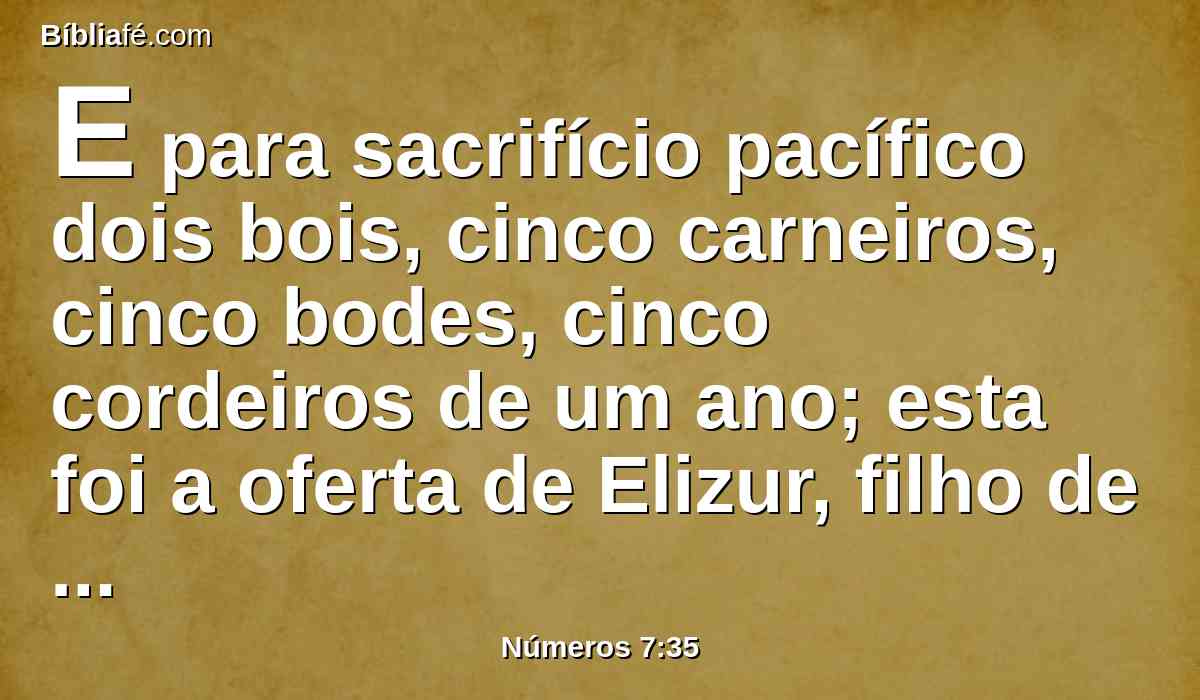 E para sacrifício pacífico dois bois, cinco carneiros, cinco bodes, cinco cordeiros de um ano; esta foi a oferta de Elizur, filho de Sedeur.