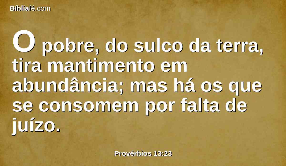O pobre, do sulco da terra, tira mantimento em abundância; mas há os que se consomem por falta de juízo.