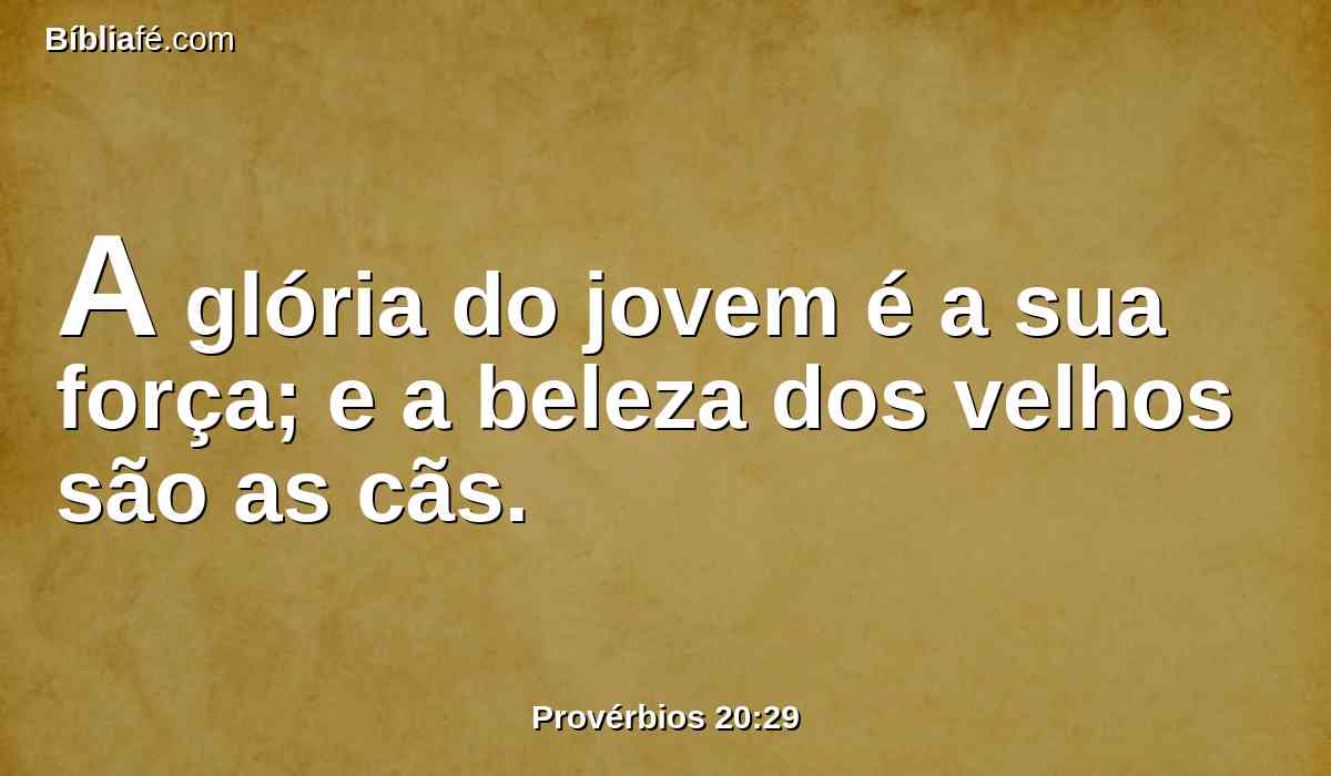 A glória do jovem é a sua força; e a beleza dos velhos são as cãs.