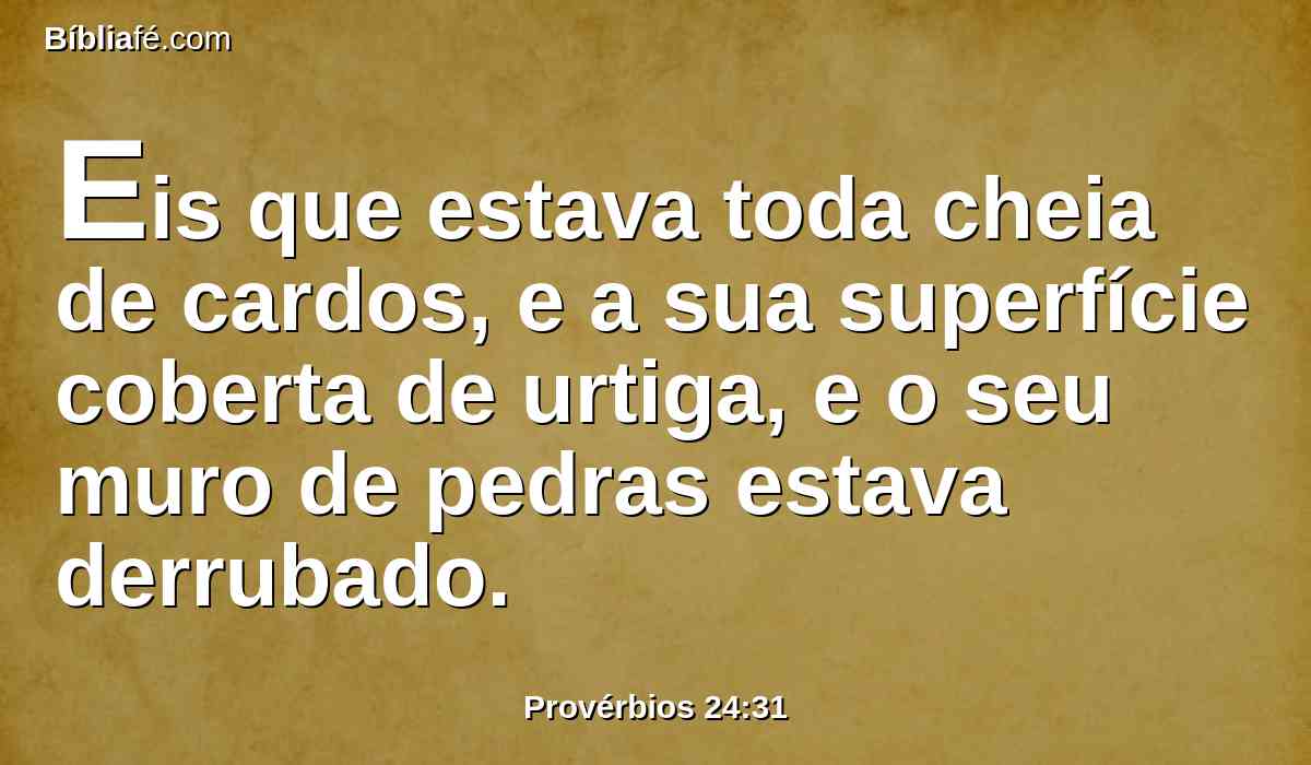 Eis que estava toda cheia de cardos, e a sua superfície coberta de urtiga, e o seu muro de pedras estava derrubado.