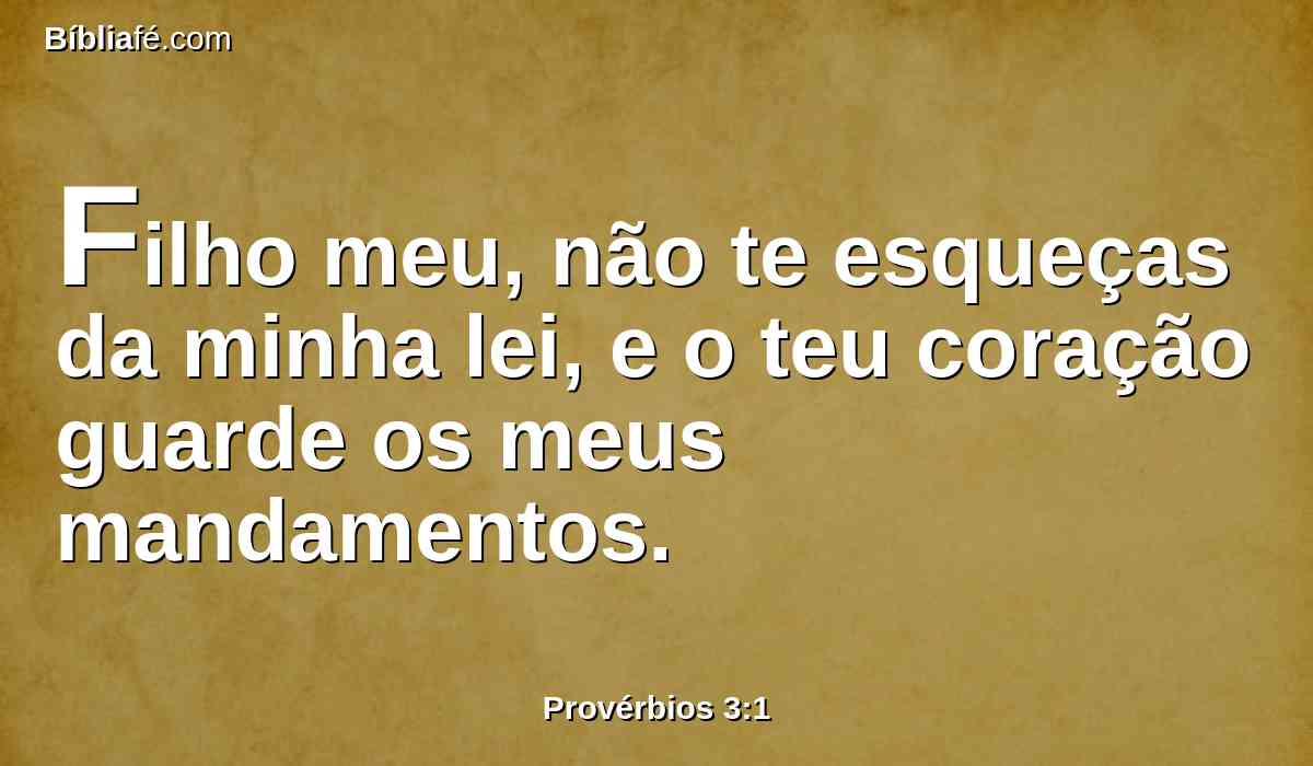 Filho meu, não te esqueças da minha lei, e o teu coração guarde os meus mandamentos.