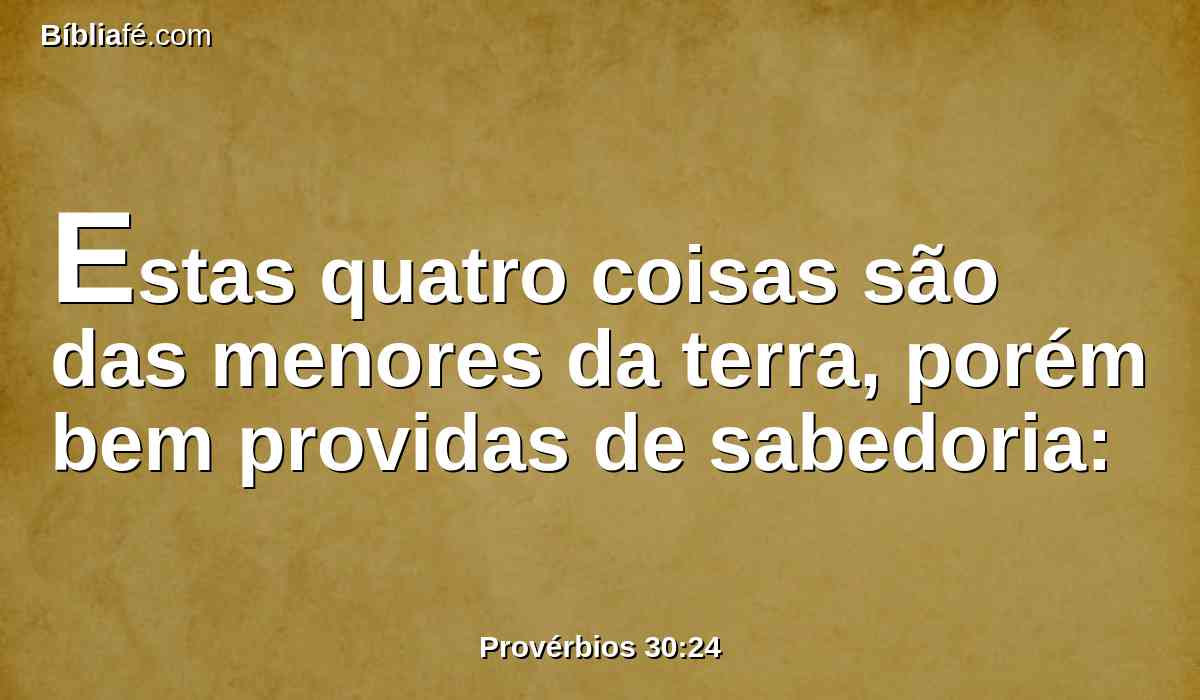 Estas quatro coisas são das menores da terra, porém bem providas de sabedoria: