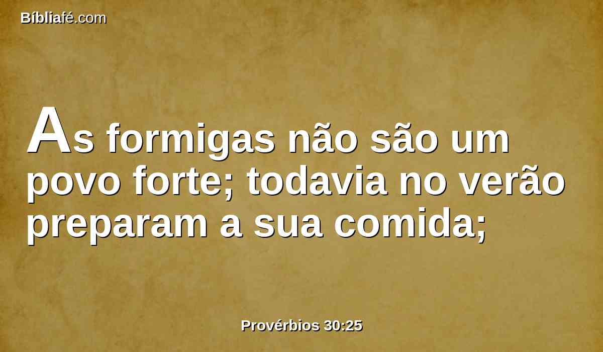 As formigas não são um povo forte; todavia no verão preparam a sua comida;