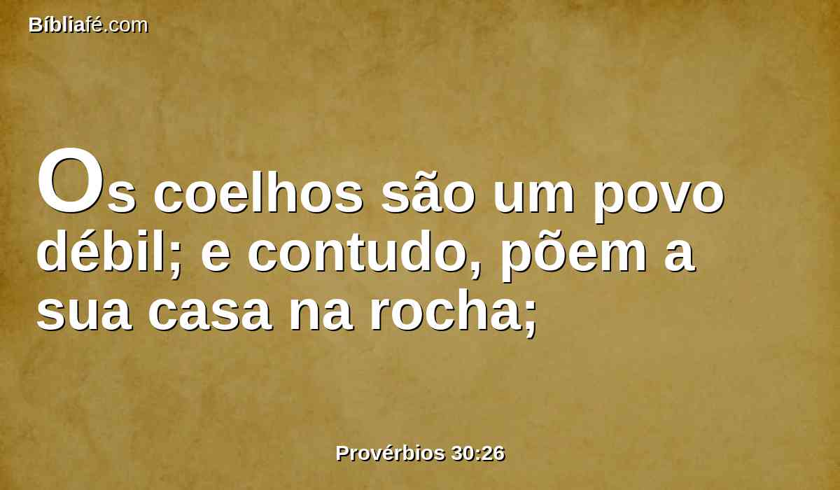 Os coelhos são um povo débil; e contudo, põem a sua casa na rocha;