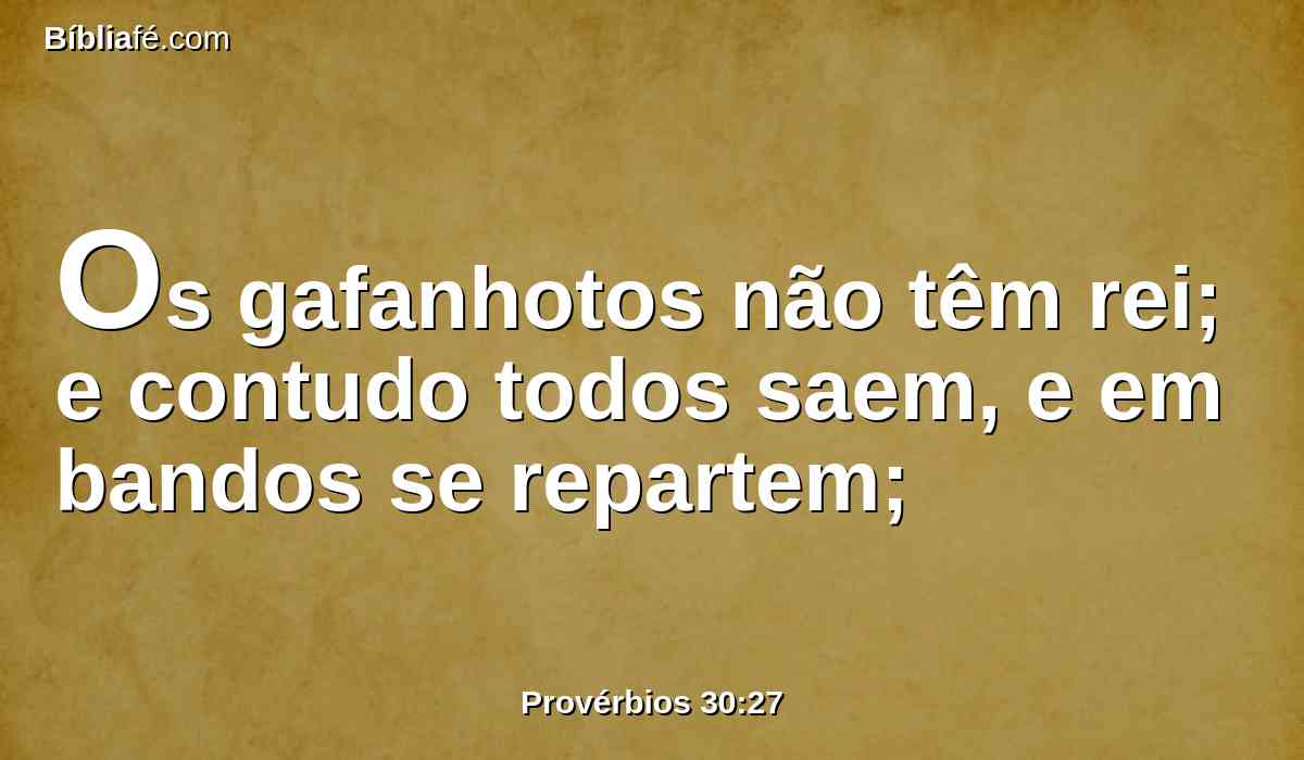 Os gafanhotos não têm rei; e contudo todos saem, e em bandos se repartem;
