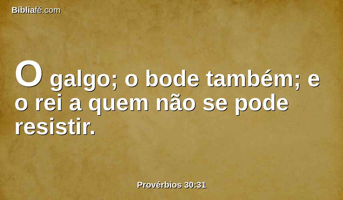 O galgo; o bode também; e o rei a quem não se pode resistir.