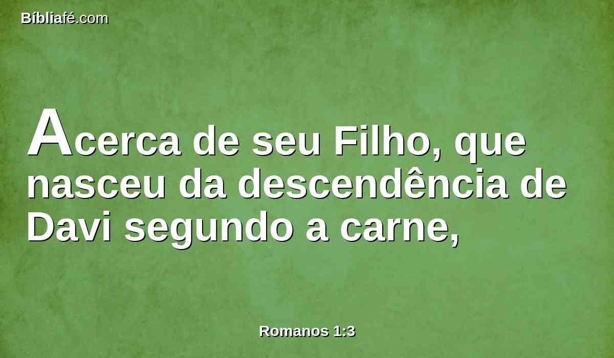 Acerca de seu Filho, que nasceu da descendência de Davi segundo a carne,