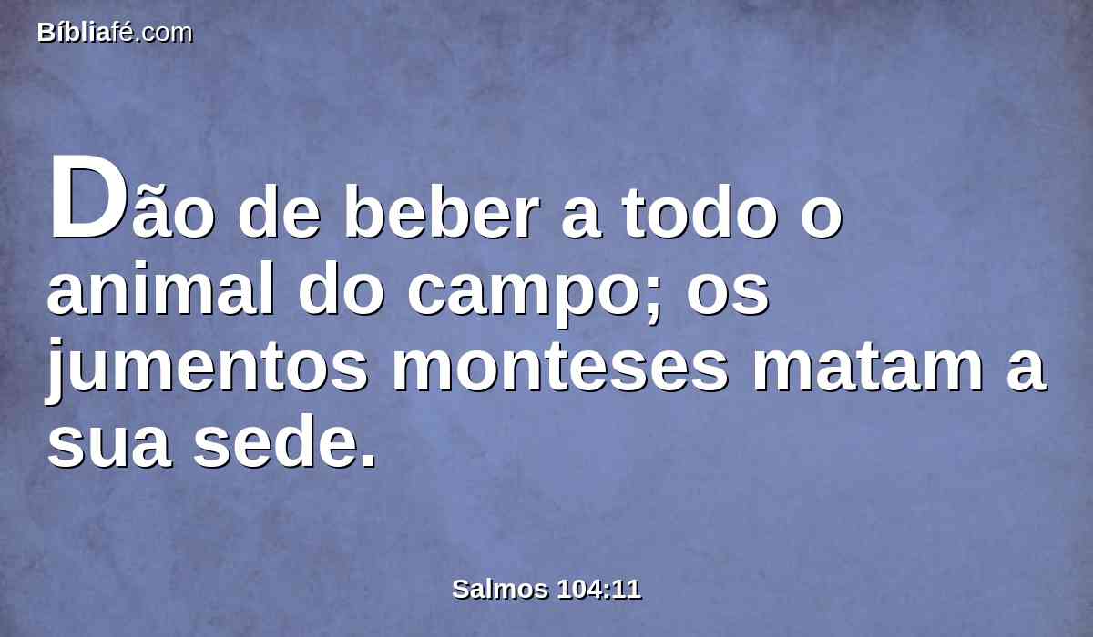 Dão de beber a todo o animal do campo; os jumentos monteses matam a sua sede.