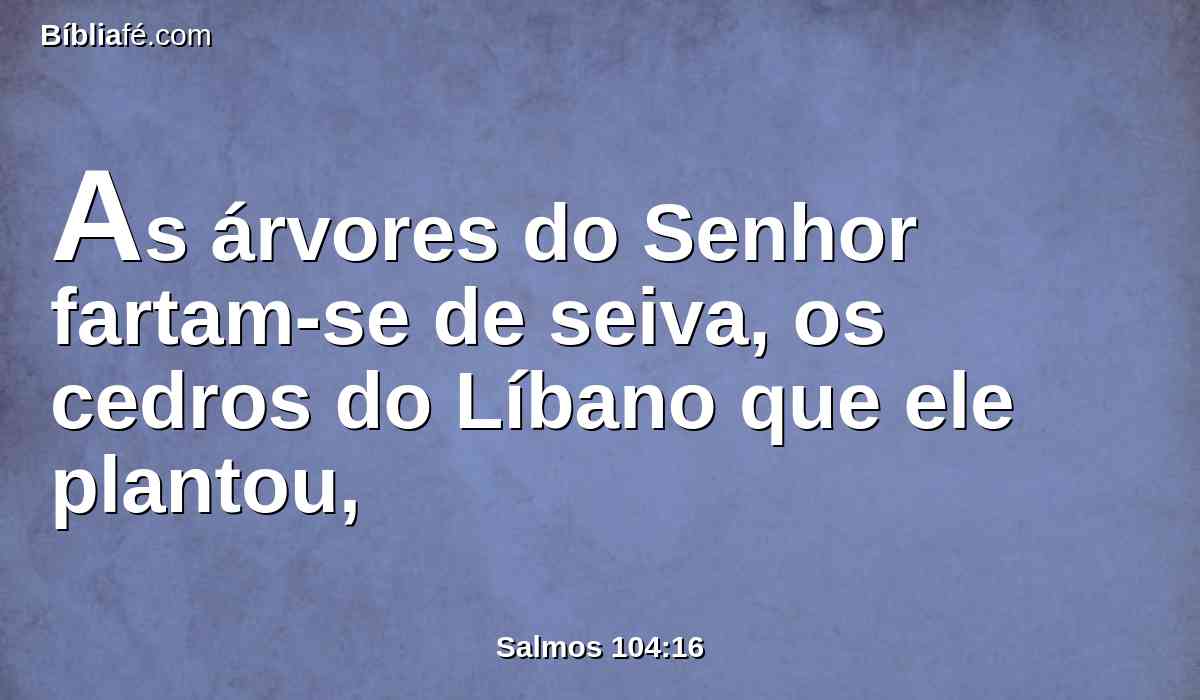 As árvores do Senhor fartam-se de seiva, os cedros do Líbano que ele plantou,