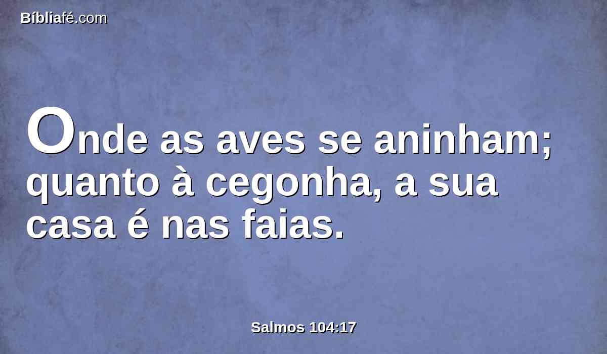 Onde as aves se aninham; quanto à cegonha, a sua casa é nas faias.