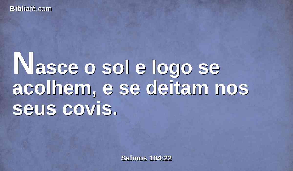 Nasce o sol e logo se acolhem, e se deitam nos seus covis.