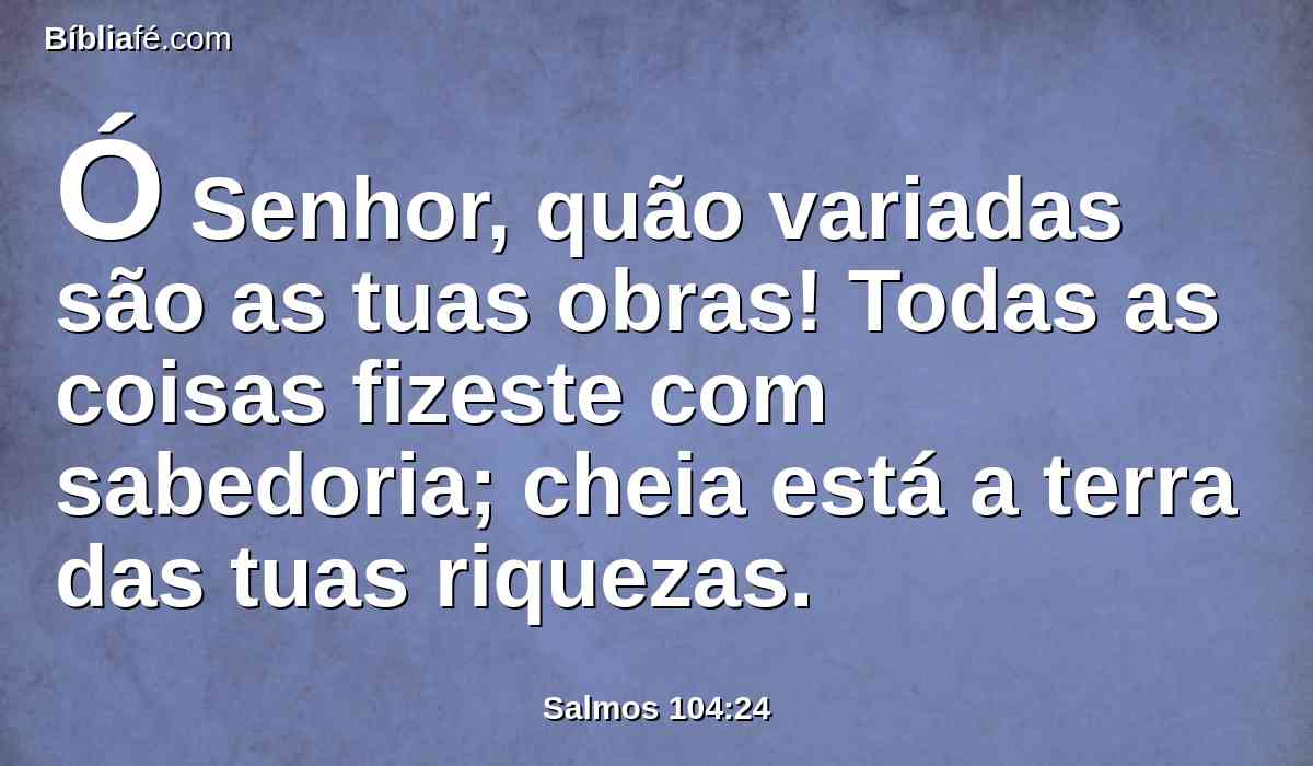 Ó Senhor, quão variadas são as tuas obras! Todas as coisas fizeste com sabedoria; cheia está a terra das tuas riquezas.