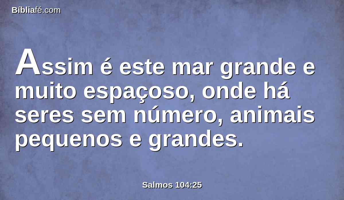 Assim é este mar grande e muito espaçoso, onde há seres sem número, animais pequenos e grandes.