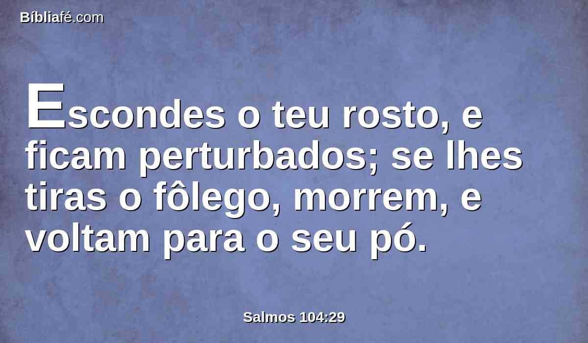 Escondes o teu rosto, e ficam perturbados; se lhes tiras o fôlego, morrem, e voltam para o seu pó.