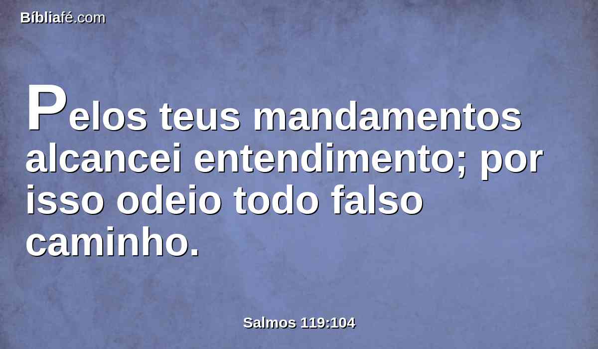 Pelos teus mandamentos alcancei entendimento; por isso odeio todo falso caminho.