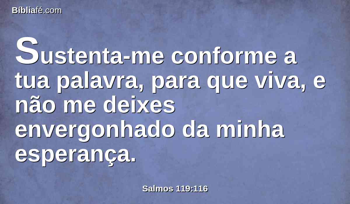 Sustenta-me conforme a tua palavra, para que viva, e não me deixes envergonhado da minha esperança.