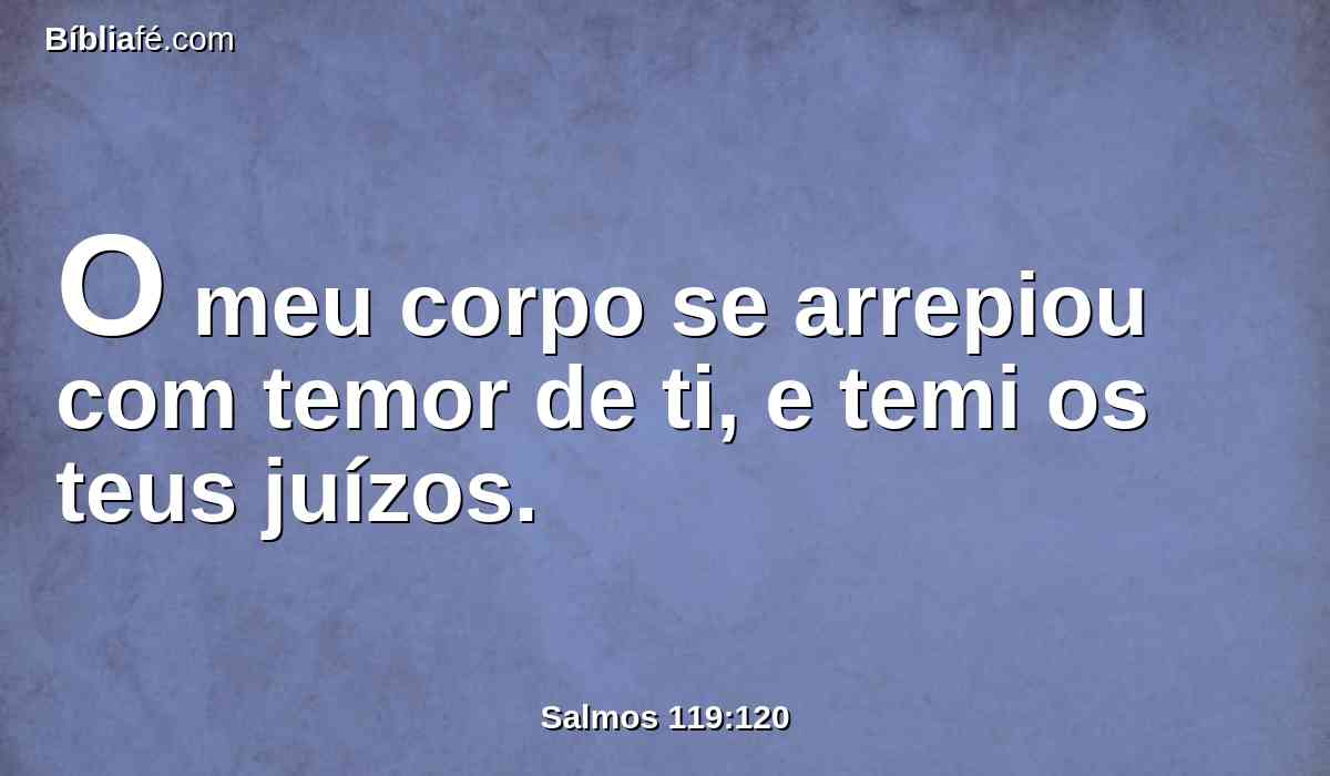 O meu corpo se arrepiou com temor de ti, e temi os teus juízos.