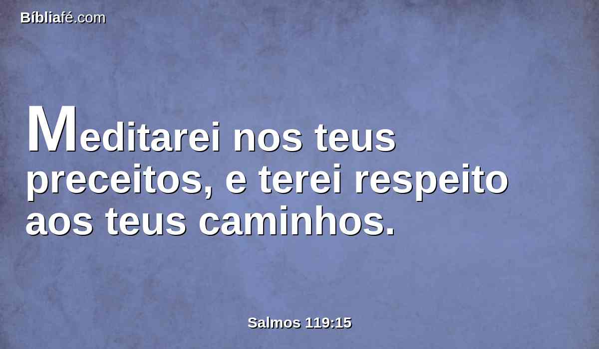 Meditarei nos teus preceitos, e terei respeito aos teus caminhos.