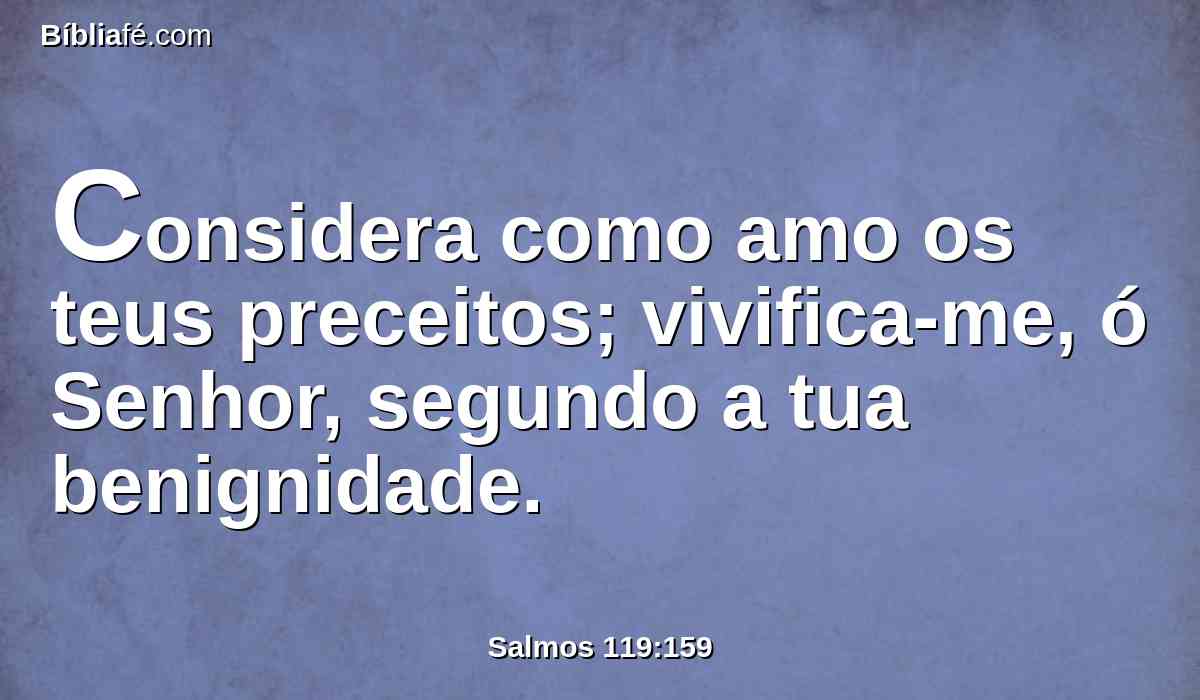 Considera como amo os teus preceitos; vivifica-me, ó Senhor, segundo a tua benignidade.