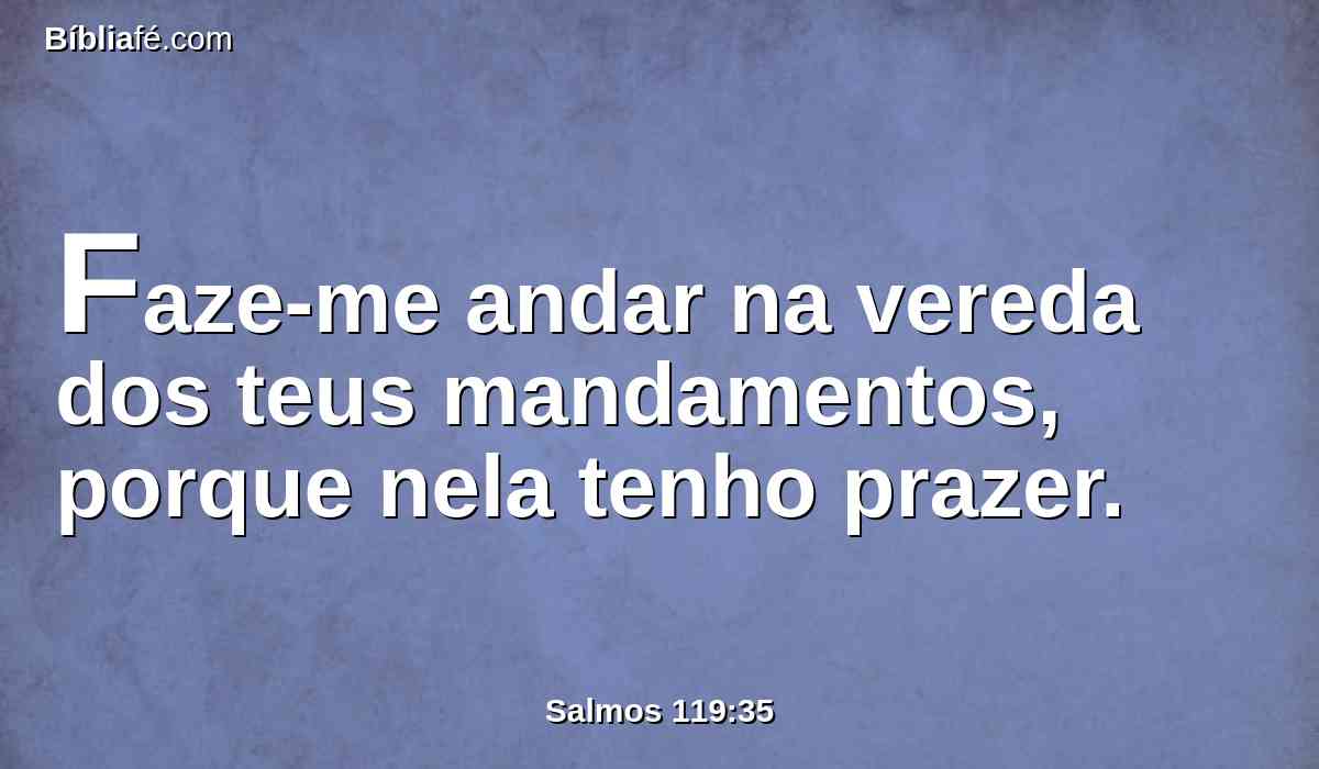 Faze-me andar na vereda dos teus mandamentos, porque nela tenho prazer.