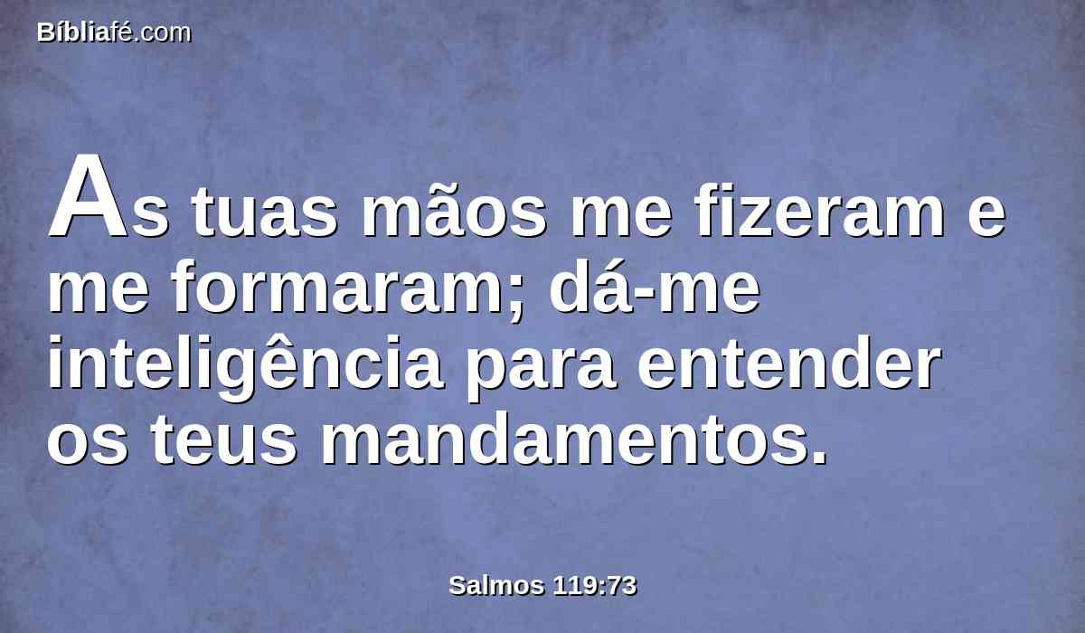 As tuas mãos me fizeram e me formaram; dá-me inteligência para entender os teus mandamentos.