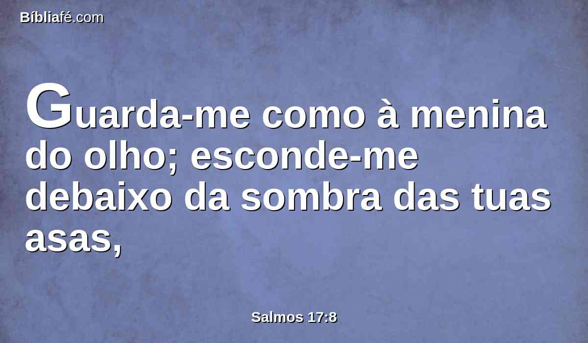 Guarda-me como à menina do olho; esconde-me debaixo da sombra das tuas asas,