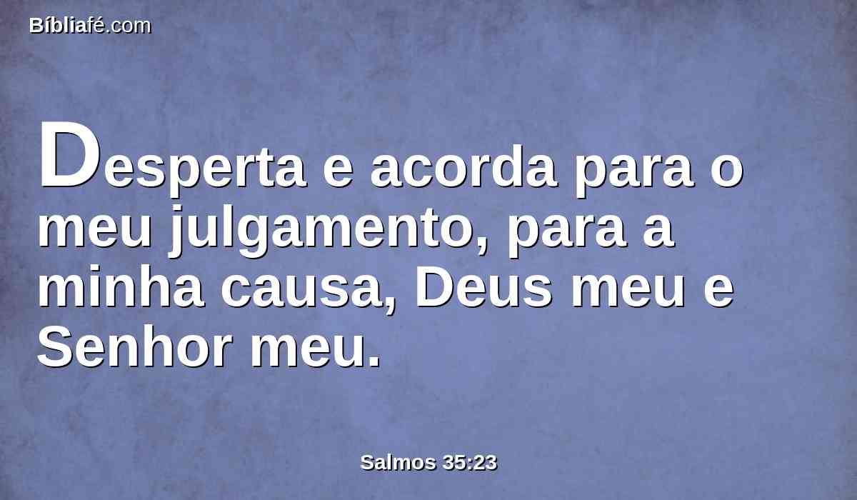 Desperta e acorda para o meu julgamento, para a minha causa, Deus meu e Senhor meu.
