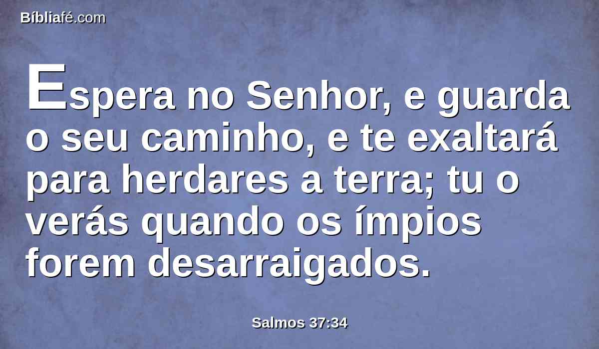 Espera no Senhor, e guarda o seu caminho, e te exaltará para herdares a terra; tu o verás quando os ímpios forem desarraigados.