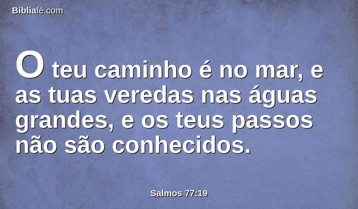O teu caminho é no mar, e as tuas veredas nas águas grandes, e os teus passos não são conhecidos.
