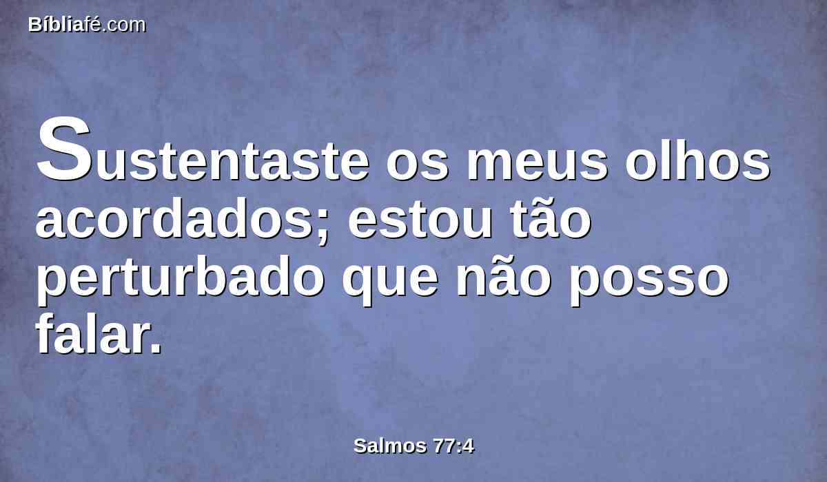 Sustentaste os meus olhos acordados; estou tão perturbado que não posso falar.