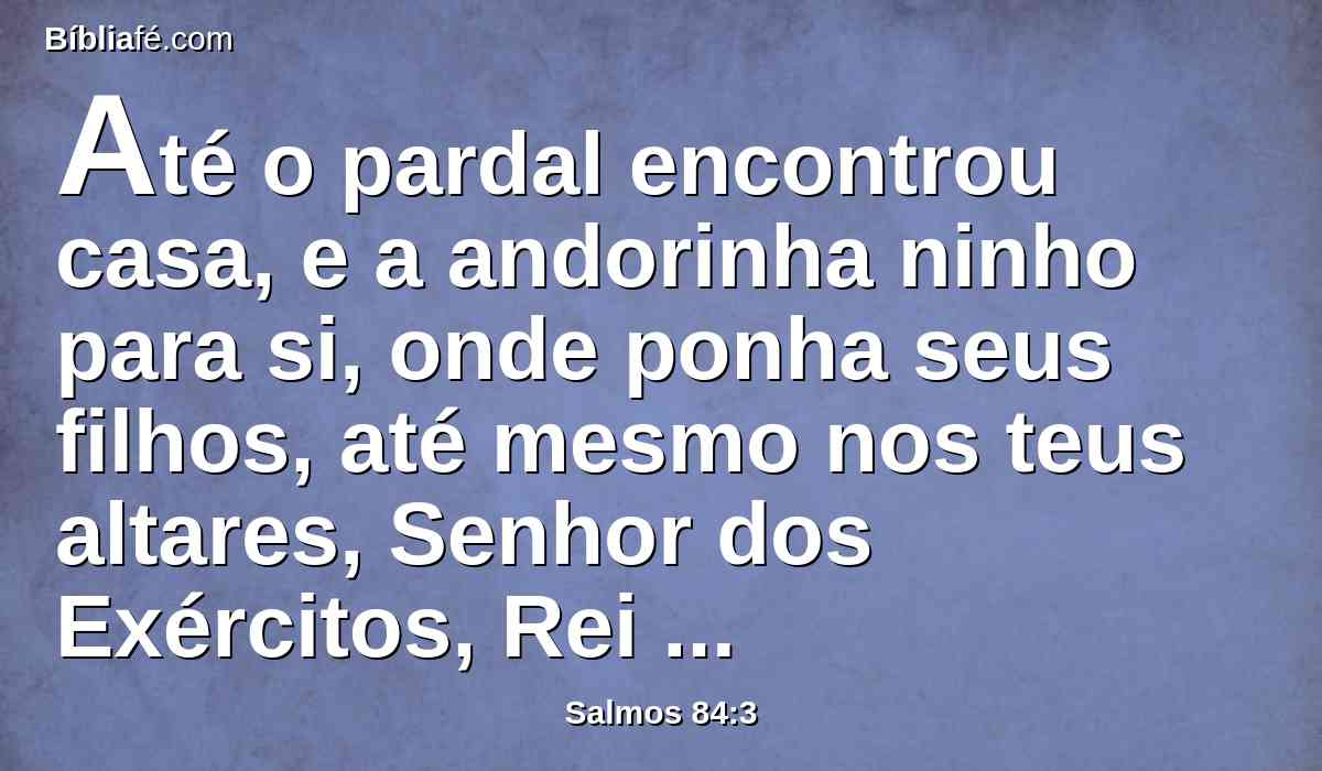 Até o pardal encontrou casa, e a andorinha ninho para si, onde ponha seus filhos, até mesmo nos teus altares, Senhor dos Exércitos, Rei meu e Deus meu.