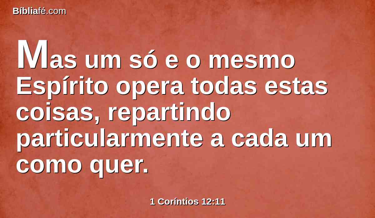 Mas um só e o mesmo Espírito opera todas estas coisas, repartindo particularmente a cada um como quer.