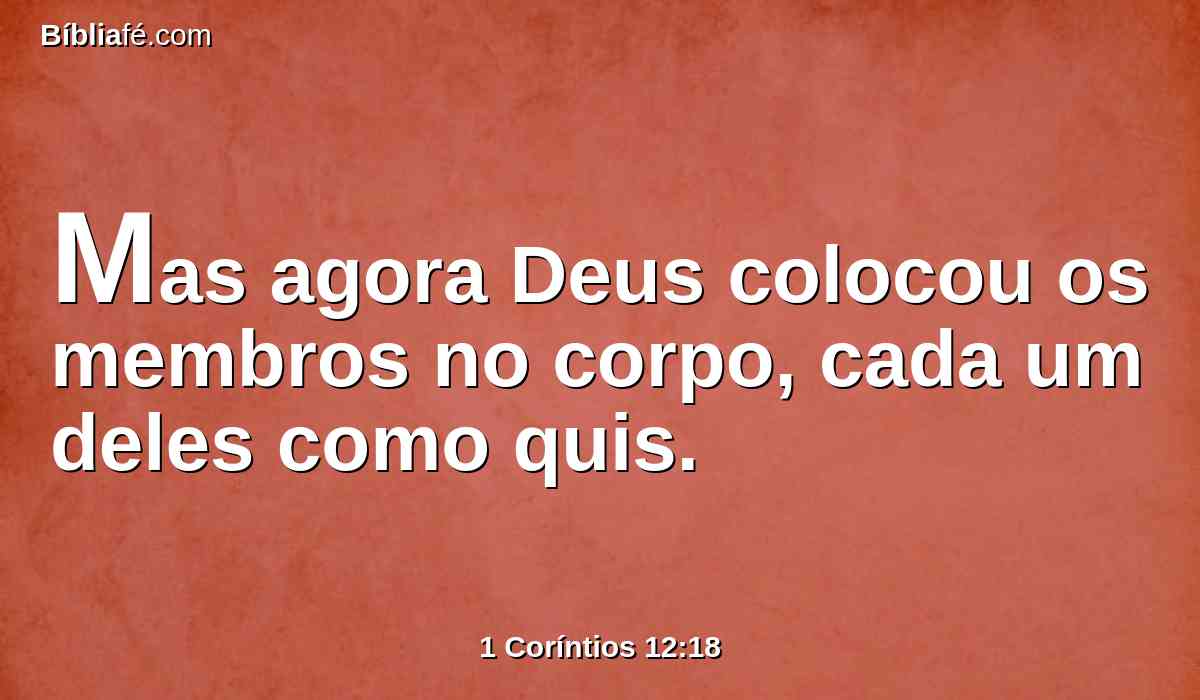 Mas agora Deus colocou os membros no corpo, cada um deles como quis.