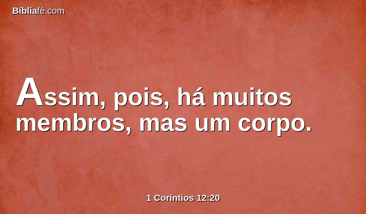 Assim, pois, há muitos membros, mas um corpo.