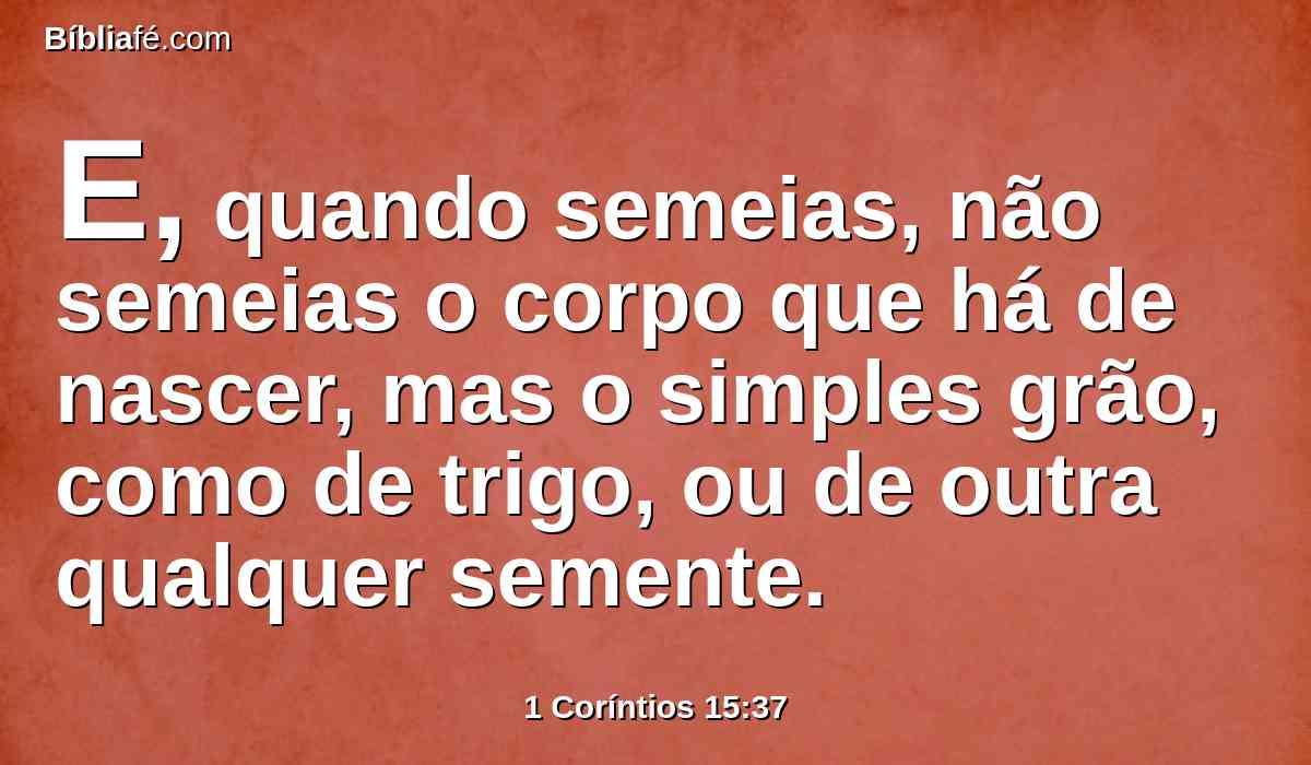 E, quando semeias, não semeias o corpo que há de nascer, mas o simples grão, como de trigo, ou de outra qualquer semente.