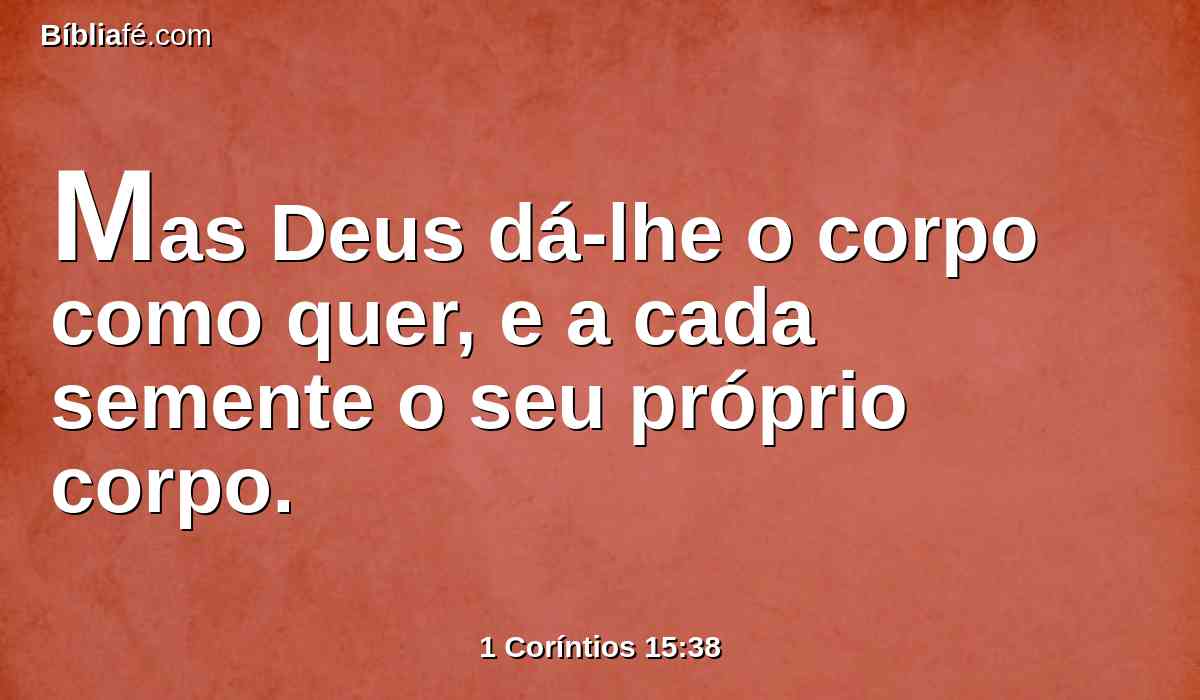 Mas Deus dá-lhe o corpo como quer, e a cada semente o seu próprio corpo.