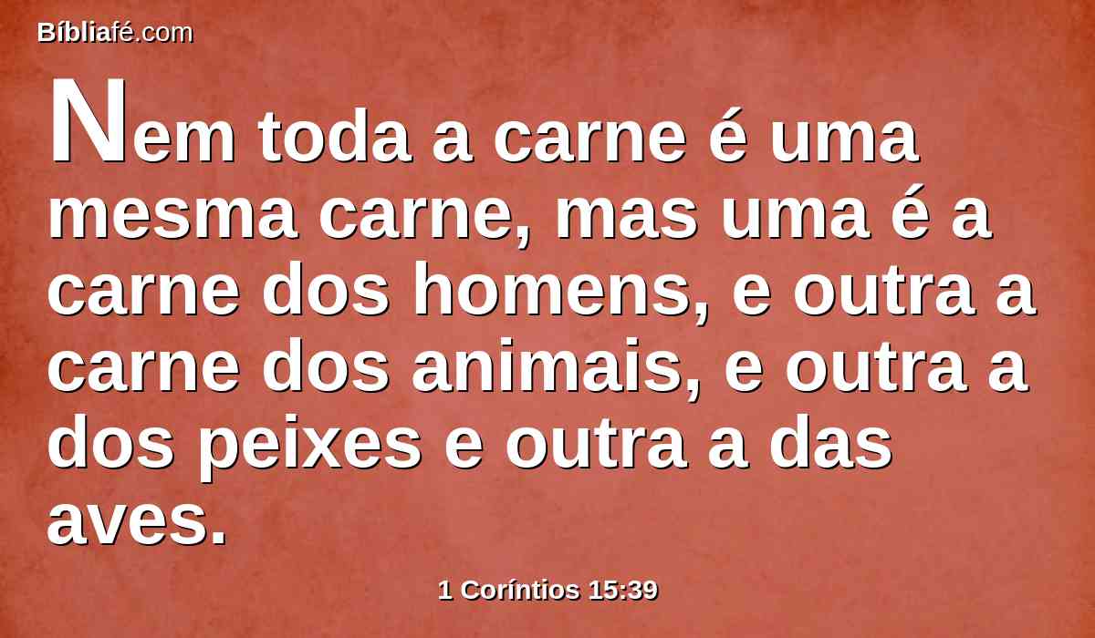 Nem toda a carne é uma mesma carne, mas uma é a carne dos homens, e outra a carne dos animais, e outra a dos peixes e outra a das aves.