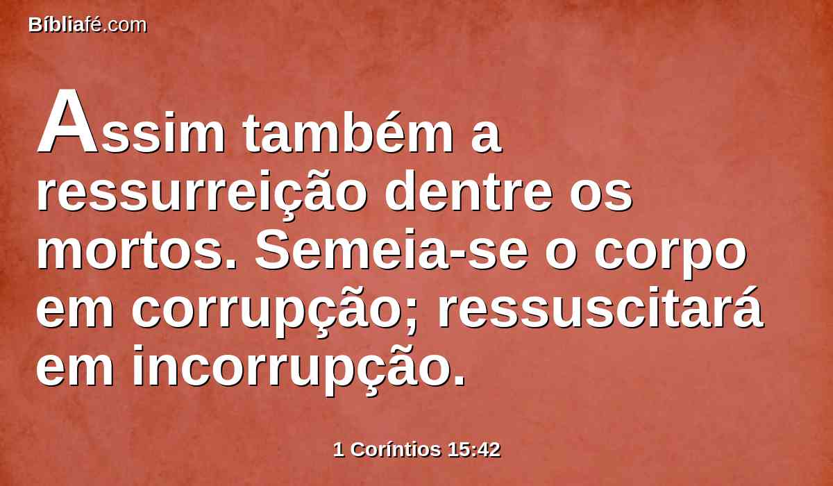 Assim também a ressurreição dentre os mortos. Semeia-se o corpo em corrupção; ressuscitará em incorrupção.