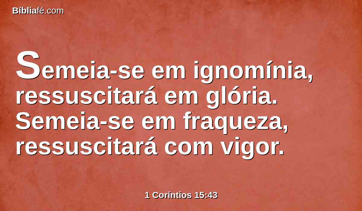 Semeia-se em ignomínia, ressuscitará em glória. Semeia-se em fraqueza, ressuscitará com vigor.