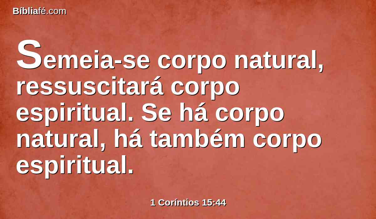 Semeia-se corpo natural, ressuscitará corpo espiritual. Se há corpo natural, há também corpo espiritual.