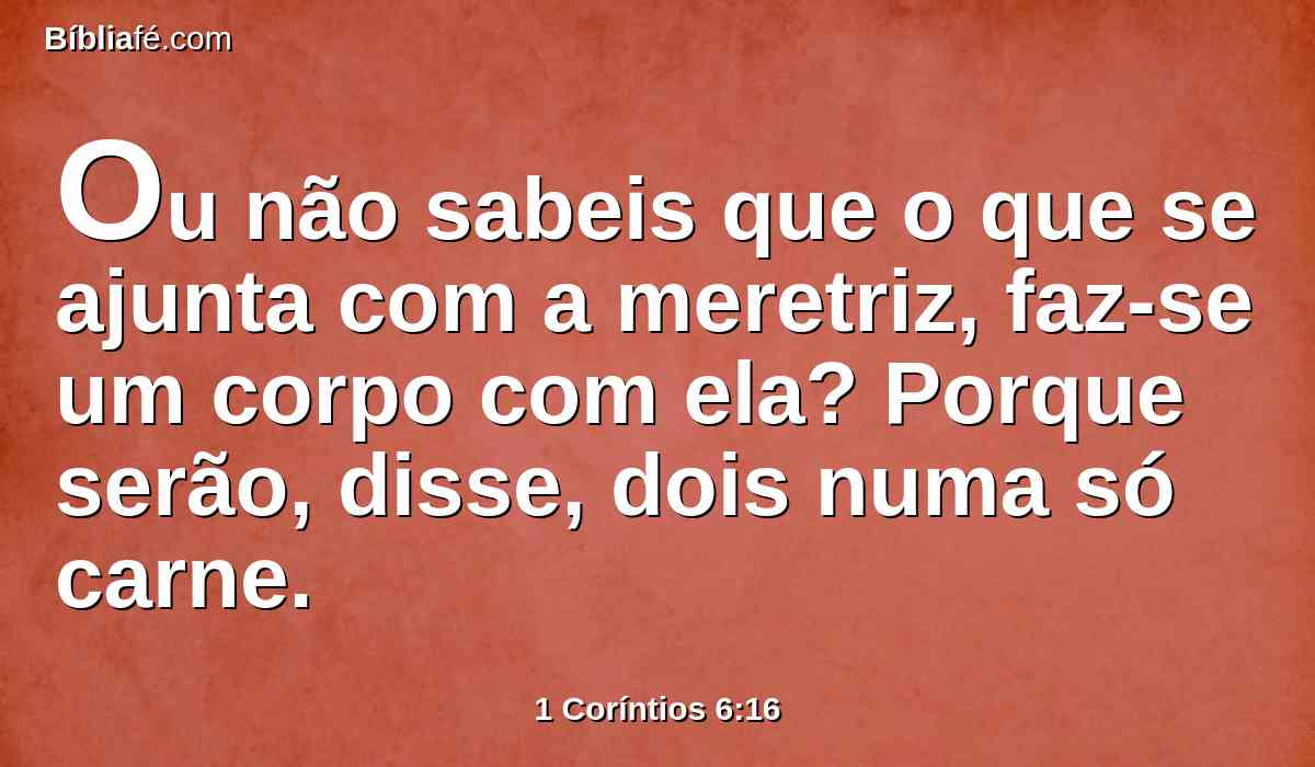 Ou não sabeis que o que se ajunta com a meretriz, faz-se um corpo com ela? Porque serão, disse, dois numa só carne.