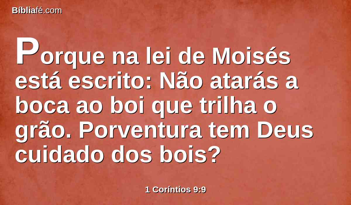 Porque na lei de Moisés está escrito: Não atarás a boca ao boi que trilha o grão. Porventura tem Deus cuidado dos bois?