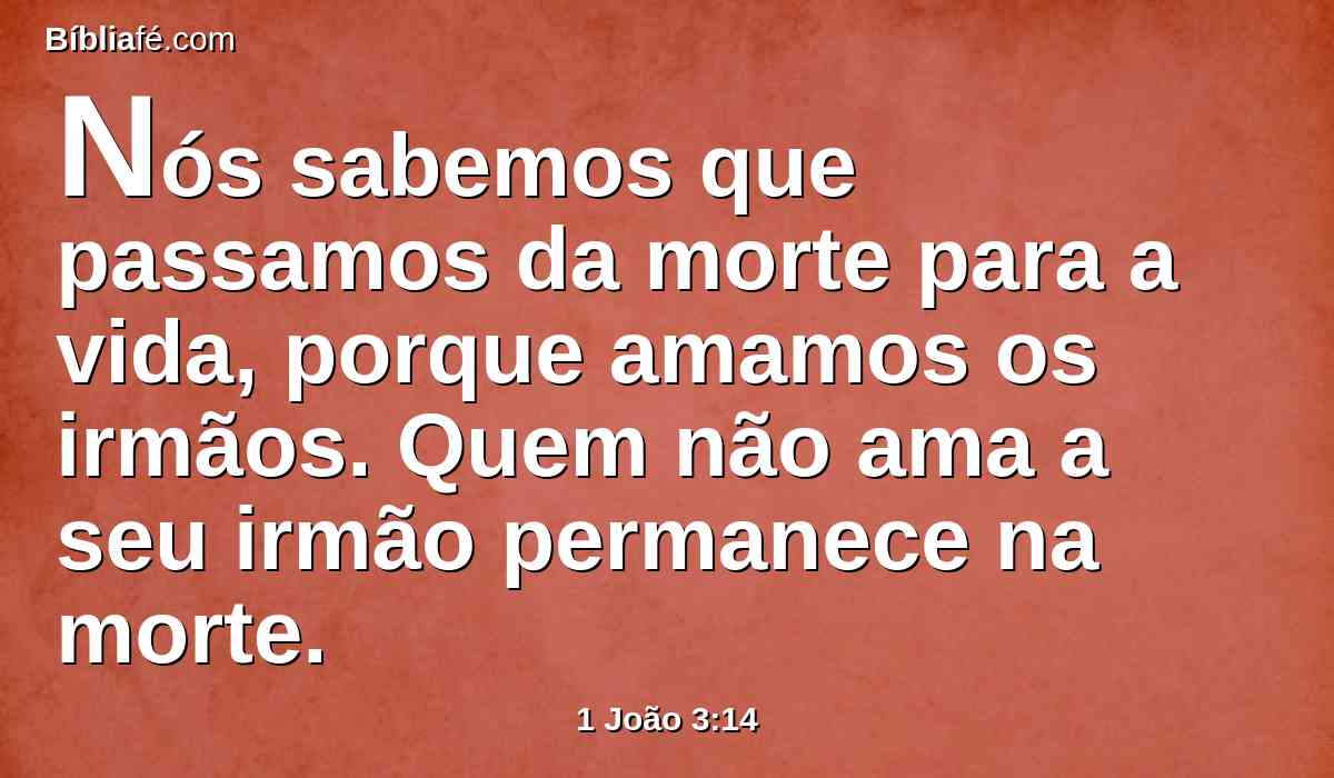 Nós sabemos que passamos da morte para a vida, porque amamos os irmãos. Quem não ama a seu irmão permanece na morte.