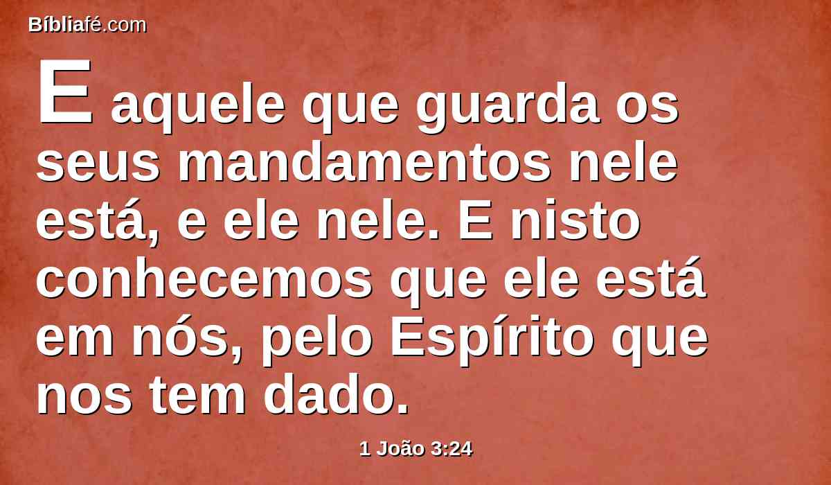 E aquele que guarda os seus mandamentos nele está, e ele nele. E nisto conhecemos que ele está em nós, pelo Espírito que nos tem dado.